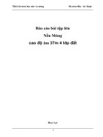 Báo cáo bài tập lớn nền móng cao độ âm 37m 4 lớp đất