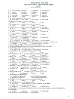 ĐỀ KIỂM TRA TỔNG HỢP MÔN TIẾNG ANH 12 - ĐỀ 12 potx