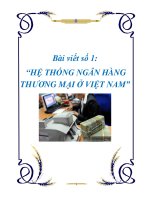 Bài viết số 1: “HỆ THỐNG NGÂN HÀNG THƯƠNG MẠI Ở VIỆT NAM” ppt