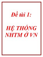 Đề tài 1: HỆ THỐNG NHTM Ở VN doc