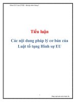 Các nội dung pháp lý cơ bản của luật tố tụng hình sự EU