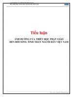 Ảnh hưởng của triết học Phật giáo đến đời sống tinh thần người dân Việt Nam