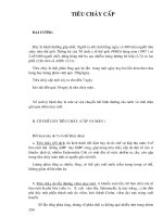 Điều trị nội khoa - TIÊU CHẢY CẤP pdf