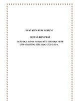 skkn một số biện pháp giáo dục hành vi đạo đức cho học sinh lớp 4 ở trường tiểu học cây gáo a