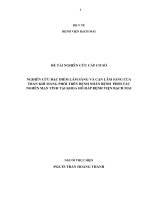 nghiên cứu đặc điểm lâm sàng của tràn khí màng phổi trên bệnh nhân bệnh phổi tắc nghẽn mạn tính tại khoa hô hấp bệnh viện bạch mai