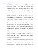 Hỗ trợ xuất khẩu thủ công mỹ nghệ sanh Nhật Bản - 4 pdf