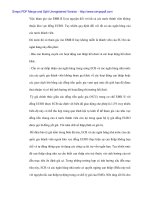 Sự biến động của tỉ giá EURO và ảnh hưởng tới Việt Nam - 2 doc