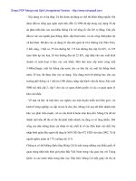 Địng hướng và giải pháp phát triển kinh tế vùng cửa khẩu Đông Bắc - 5 pot