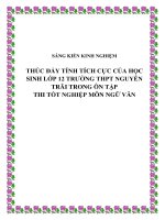 skkn thúc đẩy tính tích cực của học sinh lớp 12 trường thpt nguyễn trãi trong ôn tập thi tốt nghiệp môn ngữ văn