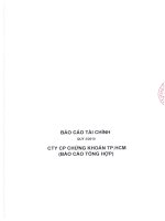 báo cáo tài chính quý 3 năm 2010 cty cp chứng khoán tp hcm báo cáo tổng hợp