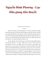 Nguyễn Bình Phương - Lục Đầu giang tiểu thuyết docx