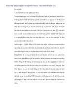 Sự biến động của tỉ giá EURO và ảnh hưởng tới Việt Nam - 1 docx