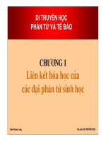Di truyền học phân tử và tế bào : Liên kết hóa học của các đại phân tử sinh học part 1 docx