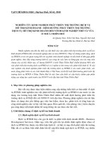 Báo cáo nghiên cứu khoa học: 