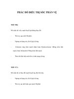 PHÁC ĐỒ ĐIỀU TRỊ SỐC PHẢN VỆ doc