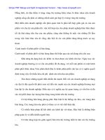 Nghiên cứu mức độ ảnh hưởng của cạnh tranh tới sự tồn tại và phát triển ngành dệt may Việt Nam - 3 pdf