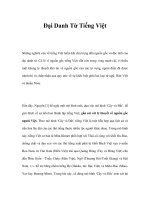 Đại Danh Từ Tiếng Việt pdf