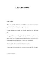 LAO CỘT SỐNG pot