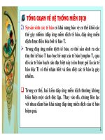 Điều hòa gene hệ miễn dịch ở động vật có xương sống part 2 ppt