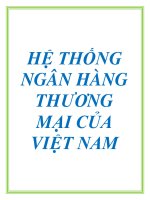HỆ THỐNG NGÂN HÀNG THƯƠNG MẠI CỦA VIỆT NAM docx