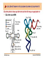 Di truyền học phân tử và tế bào : Liên kết hóa học của các đại phân tử sinh học part 8 ppsx
