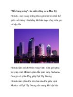 ''''Tiểu bang nắng'''' của miền đông nam Hoa Kỳ pot