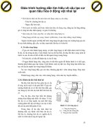 Giáo trình hướng dẫn tìm hiểu về cấu tạo cơ quan tiêu hóa ở động vật nhai lại phần 1 pps