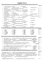 English Test 5 docx