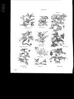 Tuệ Tĩnh toàn tập part 7 pot