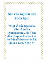 Báo cáo nghiên cứu khoa học: 