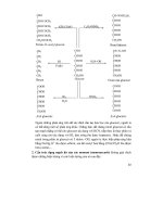 Thiết kế bài giảng Hóa Học 12 tập 1 part 5 doc