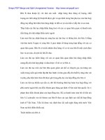 Nâng cao mô hình xuất nhập khẩu ủy thác - 3 doc