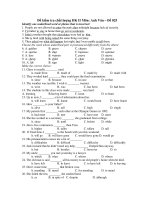 Đề kiểm tra chất lượng HK II Môn: Anh Văn – Đề 025 ppsx