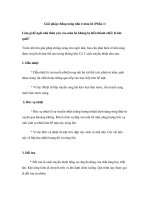 Giải pháp chống nóng nhà ở mùa hè (Phần 1) docx