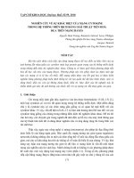 Báo cáo nghiên cứu khoa học: 