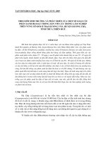 Báo cáo nghiên cứu khoa học: 