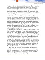 giáo trình nhập môn khoa học thư viện thông tin phần 6 ppt