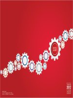 báo cáo thường niên  2012 công ty cổ phần chứng khoán sài gòn ssi