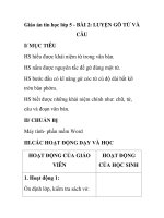 Giáo án tin học lớp 5 - BÀI 2: LUYỆN GÕ TỪ VÀ CÂU potx