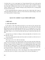 BẠCH CẦU LYMPHO VÀ QUÁ TRÌNH MIỄN DỊCH ppt