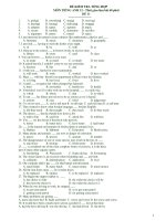 ĐỀ KIỂM TRA TỔNG HỢP MÔN TIẾNG ANH 12 - ĐỀ 11 pps