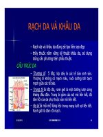 CÁC ĐƯỜNG RẠCH DA THẨM MỸ part 4 pps