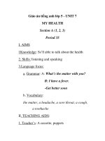 Giáo án tiếng anh lớp 5 - UNIT 7 MY HEALTH Section A (1, 2, 3) Period 35 pot