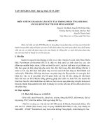 Báo cáo nghiên cứu khoa học: 