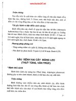 Phòng trừ sâu bệnh hại cây cảnh part 3 pdf