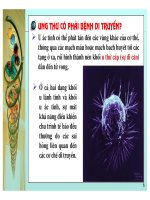 Cơ sở di truyền ung thư part 2 pptx