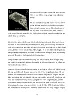 Những kiến thức tổng hợp hóa học part 10 pot