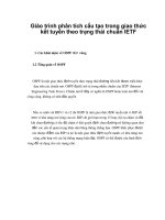 Giáo trình phân tích cấu tạo trong giao thức kết tuyến theo trạng thái chuẩn IETF p1 ppt