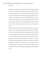 Chính sách Xuất khẩu chè tại CTy TNHH Thương mại Đại Lợi - 1 pptx