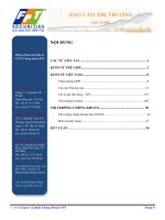 BÁO cáo THỊ TRƯỜNG quý i năm 2010 phòng phân tích đầu tư CTCP chứng khoán FPT